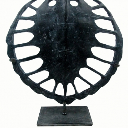 AS-946A_Sulcata Turtle with holes mount on metal base